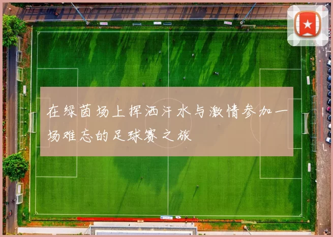 在绿茵场上挥洒汗水与激情参加一场难忘的足球赛之旅